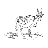 Antelope GIF to print and color