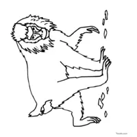 Gray and white baboon coloring page