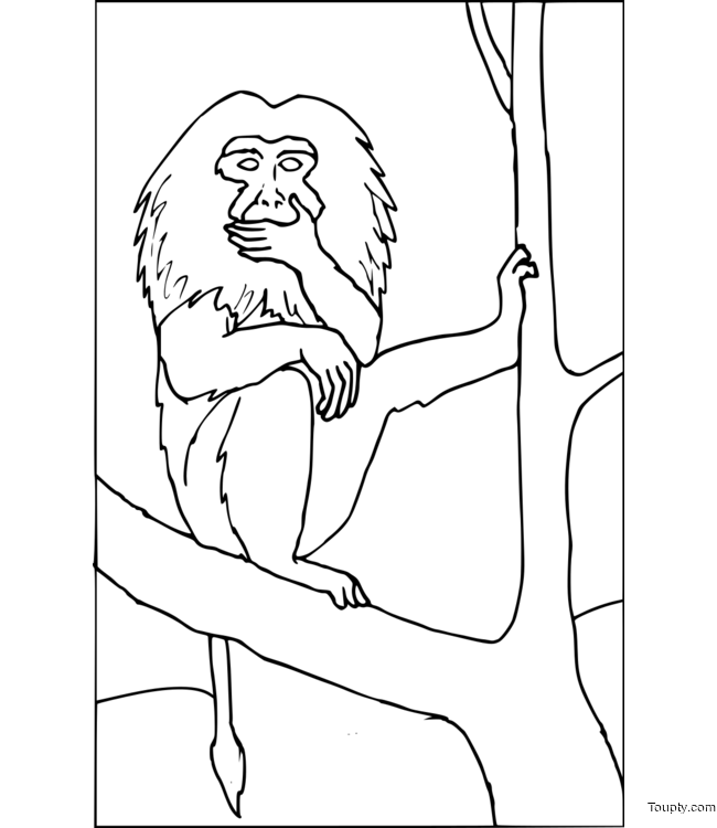 baboon Page 9