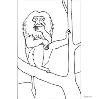 Baboon in a tree coloring page