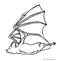 Bat coloring N°10