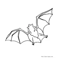 Bat coloring N°11