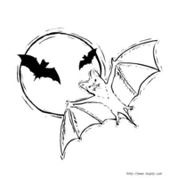 Bat coloring N°13