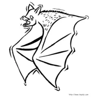 Bat coloring N°16