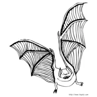 Bat coloring N°6