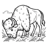 Coloring of a bison grazing