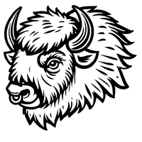 Coloring of a bison head