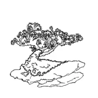 Bonsai coloring N°1