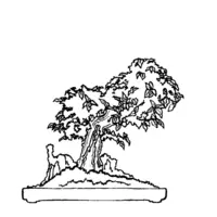 Bonsai coloring N°12