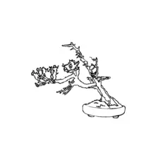 Bonsai coloring N°13