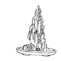 Bonsai coloring N°14