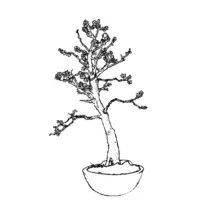 Bonsai coloring N°16