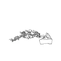 Bonsai coloring N°19