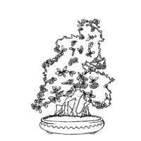 Bonsai coloring N°2 