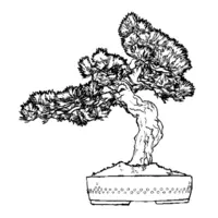 Bonsai coloring N°21