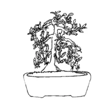 Bonsai coloring N°22