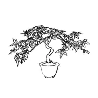 Bonsai coloring N°23