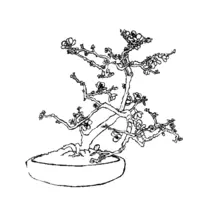 Bonsai coloring N°9