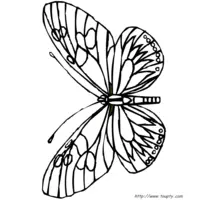 Butterfly coloring N°13