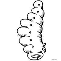 A funny caterpillar | Toupty.com