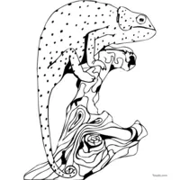 Realistic chameleon coloring page