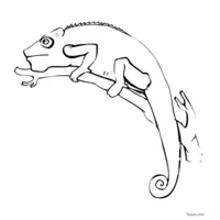 chameleon on a tree coloring page