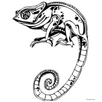 long-tailed chameleon coloring page