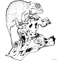 chameleon on a tree stump coloring page