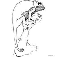 chameleon at the top of its branch coloring page