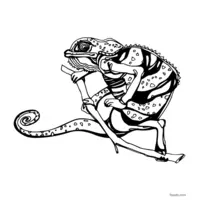 balancing chameleon coloring page