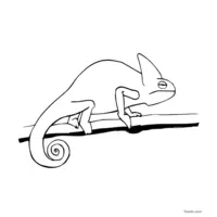 easy chameleon coloring page