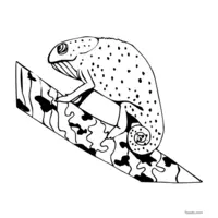 chameleon on a branch coloring page