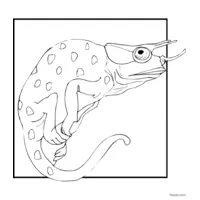 horned chameleon coloring page