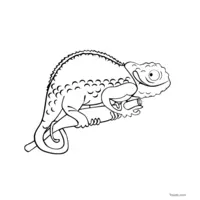 adorable chameleon coloring page