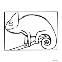 easy chameleon coloring page for kids