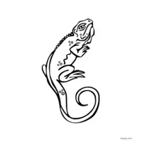 chameleon coloring page