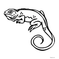 vibrant chameleon coloring page