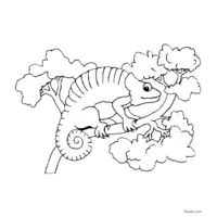 chameleon in the foliage coloring page