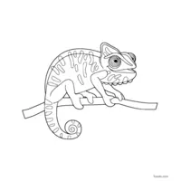 cute chameleon coloring page