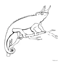 Horned chameleon coloring page