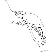 chameleon hunting an insect coloring page