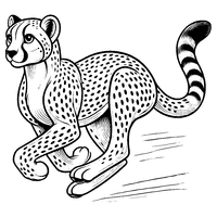 A running cheetah | Toupty.com