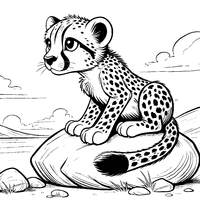 Cheetah on a rock | Toupty.com