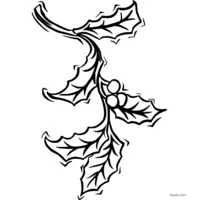 Christmas decoration coloring - Holly ornament