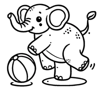 Elephant on a ball | Toupty.com