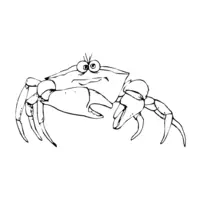 Crab coloring N°1