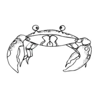 Crab coloring N°11