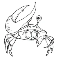 Crab coloring N°15