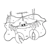 Crab coloring N°21