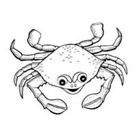 Crab coloring N°23